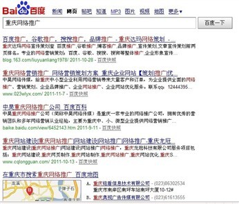重庆网站宣传,重庆网络宣传,网络营销,网络策划